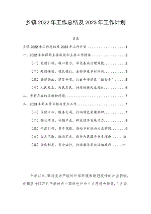 乡镇2022年工作总结及2023年工作计划.docx