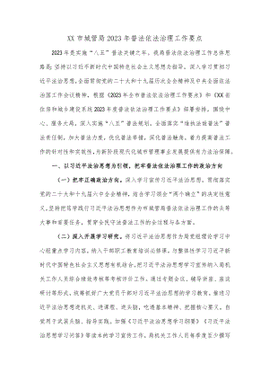 XX市城管局2023年普法依法治理工作要点.docx