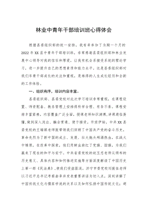2022年优秀年轻干部培训班学习心得体会感悟五篇样本.docx