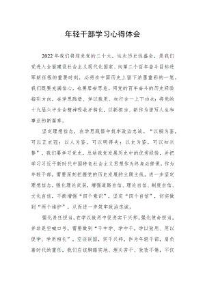 2022年年轻干部学习心得体会.docx