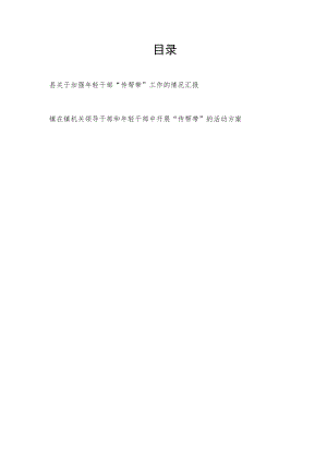 2022年某县关于加强年轻干部“传帮带”工作的情况汇报和乡镇“传帮带”的活动方案.docx