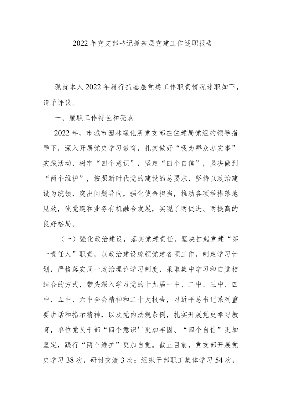 2022年党支部书记抓基层党建工作述职报告.docx_第1页
