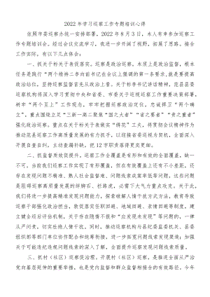 2022年学习巡察工作专题培训心得.docx