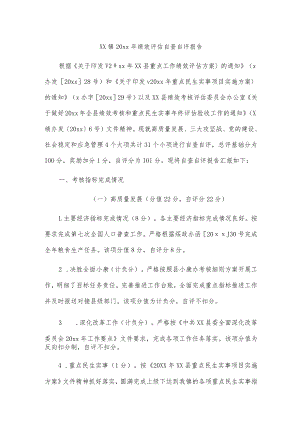 xx镇20xx年绩效评估自查自评报告.docx