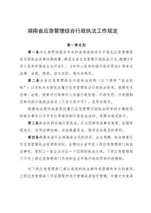 《湖南省应急管理综合行政执法工作规定》.docx
