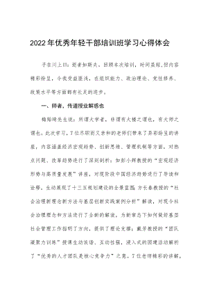 2022年优秀年轻干部培训班学习心得体会九篇范文.docx