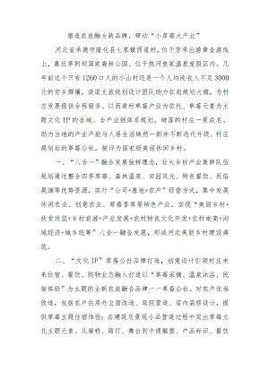 乡村振兴经验材料：塑造农旅融合新品牌带动“小草莓大产业”.docx