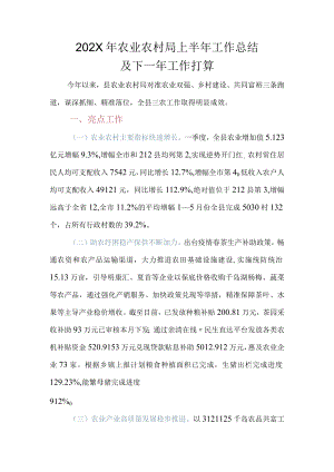 XX县农业农村局2022年度工作总结及2023年工作计划 .docx