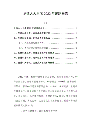 乡镇人大主席2022年述职报告.docx