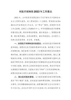 X市医疗保障局2023年工作要点及工作计划.docx