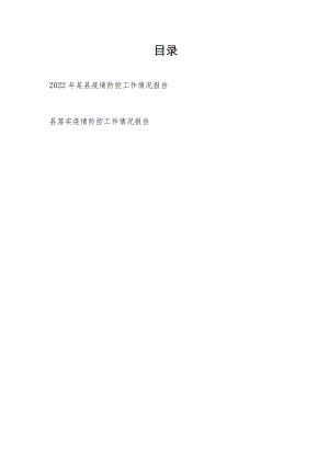 2022年某县疫情防控工作情况报告.docx