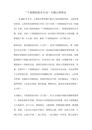 “干部规划家乡行动”专题心得体会.docx