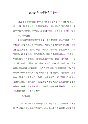 2022年专题学习计划.docx