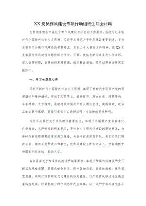 XX党员作风建设专项行动组织生活会材料.docx