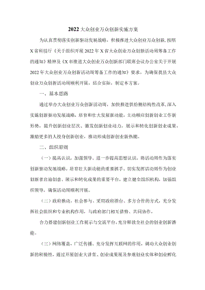 2022大众创业万众创新实施方案.docx