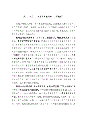 【经验材料】用“四力”筑牢乡村振兴的“压舱石”.docx