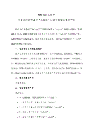 XX市师范学院关于开展违规设立“小金库”问题专项整治工作方案.docx