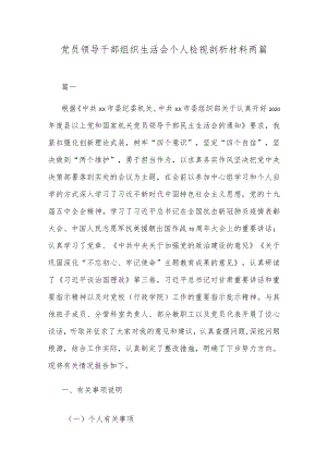 党员领导干部组织生活会个人检视剖析材料两篇.docx