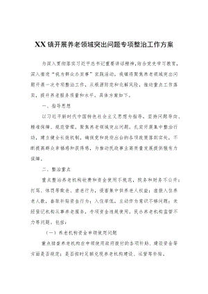 XX镇开展养老领域突出问题专项整治工作方案.docx