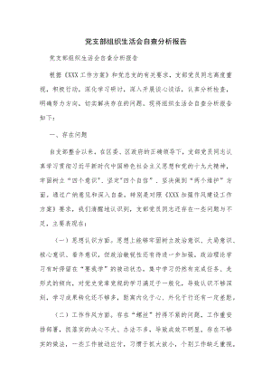 党支部组织生活会自查分析报告.docx