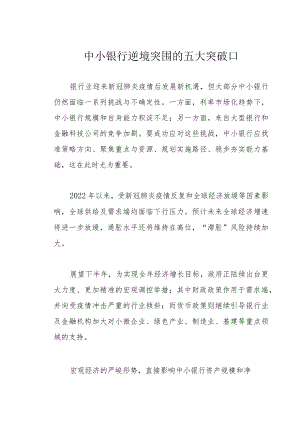 中小银行逆境突围的五大突破口.docx