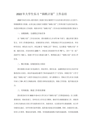 2022年大学生实习“扬帆计划”工作总结.docx