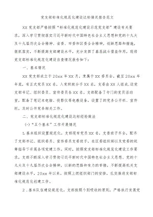 党支部标准化规范化建设达标情况报告范文经验做法问题打算工作汇报总结.docx