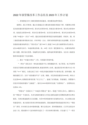2022年放管服改革工作总结及2023年工作计划.docx