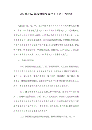 xxx镇20xx年根治拖欠农民工工资工作要点.docx