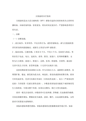 尖锐湿疣诊疗指南.docx
