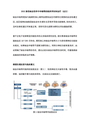 2022急性缺血性卒中半暗带的临床评估和治疗（全文）.docx