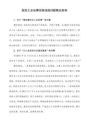 医院工会经费巡察违规问题整改案例.docx