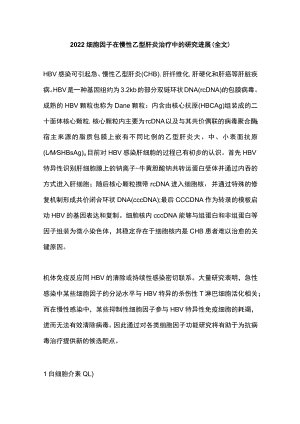 2022细胞因子在慢性乙型肝炎治疗中的研究进展（全文）.docx