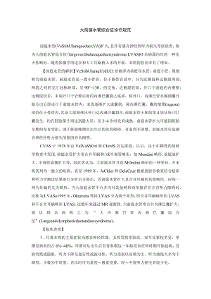 大前庭水管综合征诊疗规范.docx