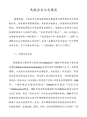 民航安全文化建设.docx