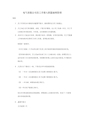 电气有限公司员工手册入职篇福利管理.docx