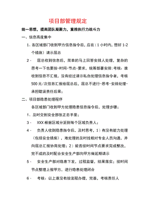 项目部管理规定.docx