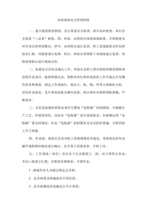 班组现场安全管理制度.docx