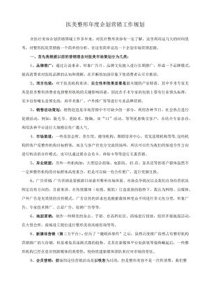 医美整形企划营销工作规划.docx