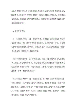 自然灾害综合风险普查工作汇报.docx