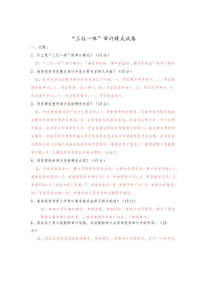 三位一体审计模式.docx