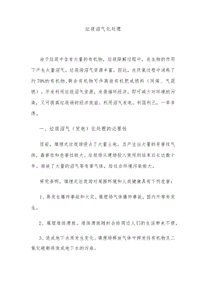 垃圾沼气化处理.docx