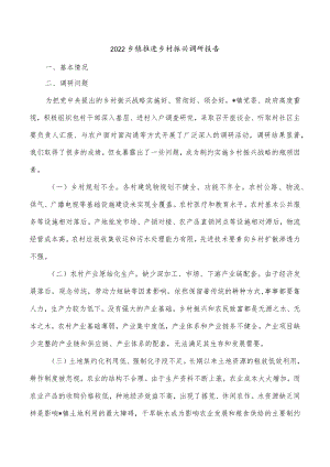 2022乡镇推进乡村振兴调研报告.docx