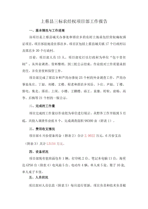 正拓工作报告（6月）.docx