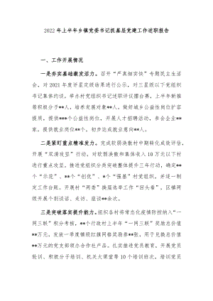 2022上半乡镇党委书记抓基层党建工作述职报告.docx