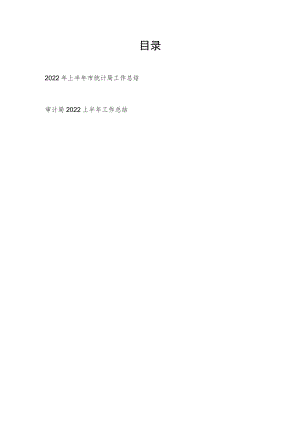 2022上半市统计局、审计局工作总结共2篇.docx