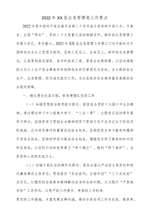 2022XX县应急管理局工作要点.docx