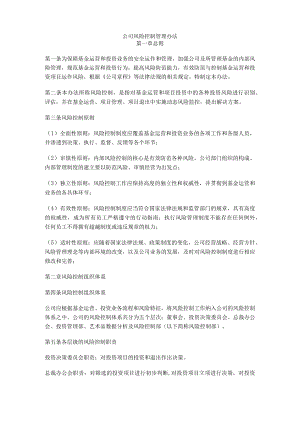 公司风险控制管理制度范例.docx