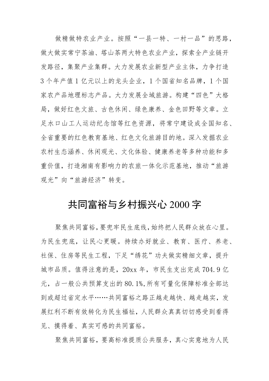 共同富裕与乡村振兴心2000字.docx_第2页