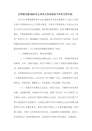 公司党支部2022上半工作总结及下半工作计划.docx